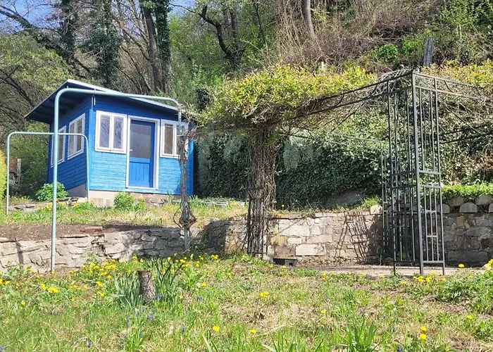 Huber - Top1 * 브루크안데어무어